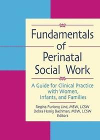 bokomslag Fundamentals of Perinatal Social Work