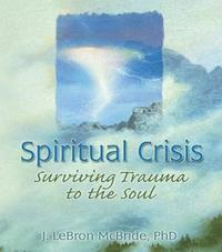 bokomslag Spiritual Crisis
