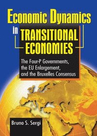 bokomslag Economic Dynamics in Transitional Economies
