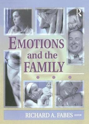 bokomslag Emotions and the Family