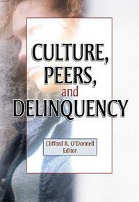 bokomslag Culture, Peers, and Delinquency
