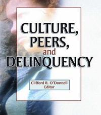 bokomslag Culture, Peers, and Delinquency