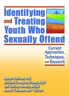 bokomslag Identifying and Treating Youth Who Sexually Offend