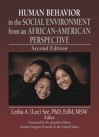 bokomslag Human Behavior in the Social Environment from an African-American Perspective