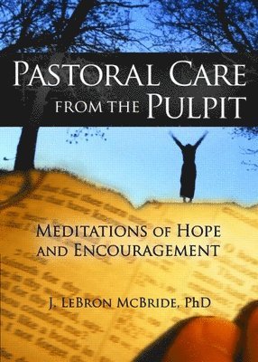 bokomslag Pastoral Care from the Pulpit