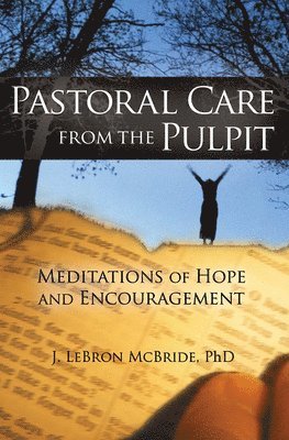 bokomslag Pastoral Care from the Pulpit