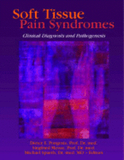 bokomslag Soft Tissue Pain Syndromes