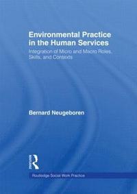 bokomslag Environmental Practice in the Human Services