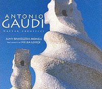 bokomslag Antonio Gaud