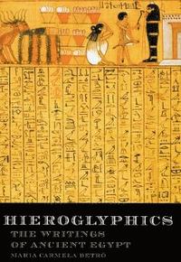 bokomslag Hieroglyphics