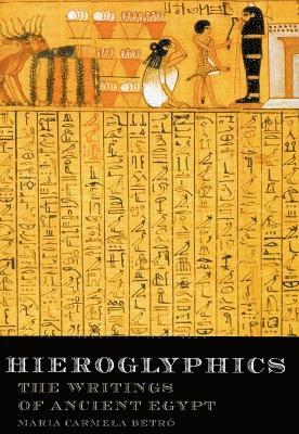 bokomslag Hieroglyphics: The Writings of Ancient Egypt
