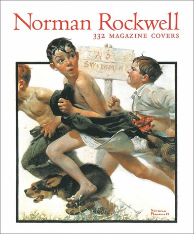 bokomslag Norman Rockwell