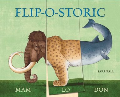 bokomslag Flip-o-storic
