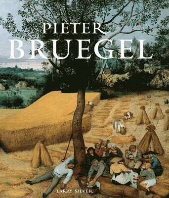 bokomslag Pieter Bruegel