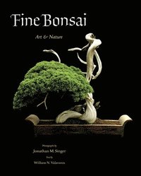 bokomslag Fine Bonsai
