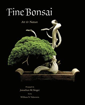 Fine Bonsai 1