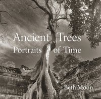 bokomslag Ancient Trees
