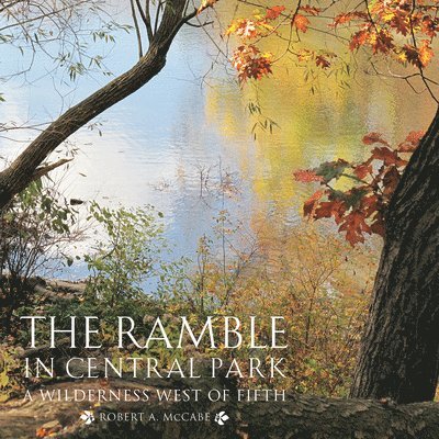 The Ramble in Central Park 1