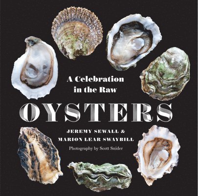 Oysters 1