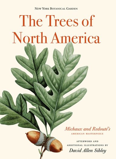 David Allen Sibley - Trees of North America, Inbunden