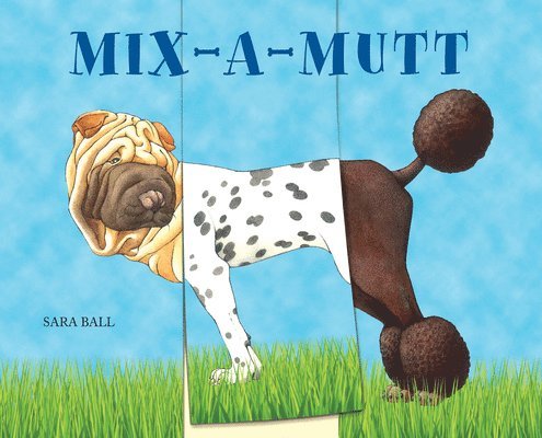 Sara Ball - Mix-a-Mutt, Kartonnage