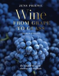 bokomslag Wine from Grape to Glass
