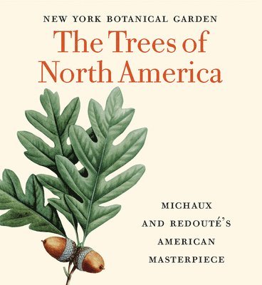bokomslag The Trees of North America