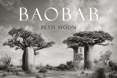 bokomslag Baobab