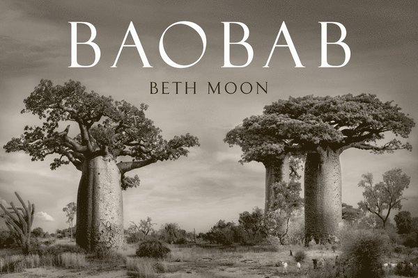 Baobab 1