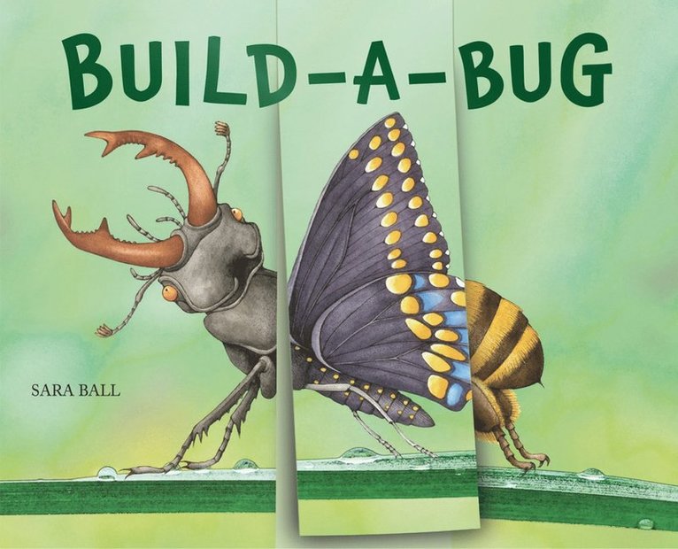 Sara Ball - Build-a-Bug, Kartonnage