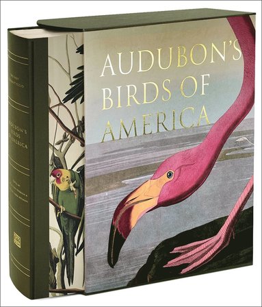 bokomslag Audubon's Birds of America