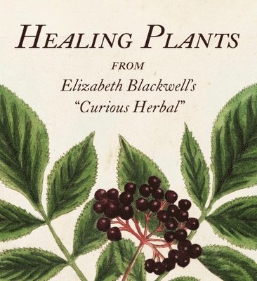 Healing Plants 1