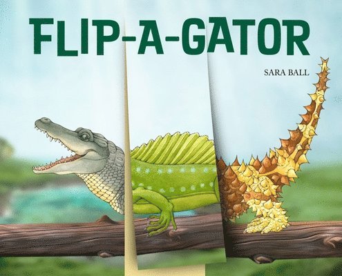 Sara Ball - Flip-a-gator, Kartonnage