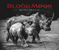 bokomslag Blood Moon: Rescuing the Rhino