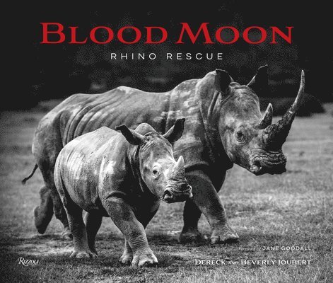 Blood Moon: Rescuing the Rhino 1