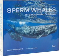 bokomslag Sperm Whales: The Gentle Goliaths of the Ocean