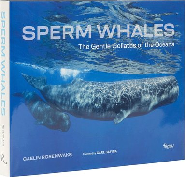 Gaelin Rosenwaks - Sperm Whales, Inbunden