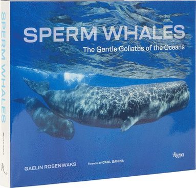 bokomslag Sperm Whales: The Gentle Goliaths of the Ocean