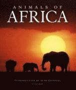 bokomslag Animals of Africa