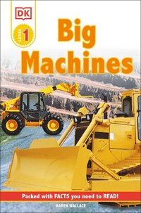 bokomslag Big Machines