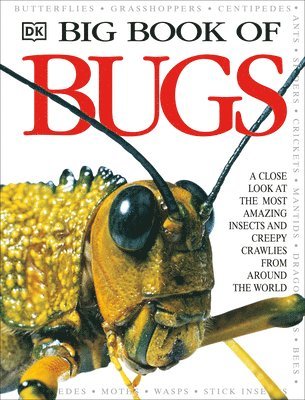 DK - Big Book of Bugs, Inbunden