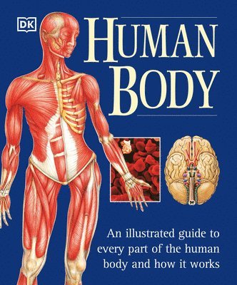 The Human Body: An Illustrated Guide to Every Part of the Human Body and How It Works