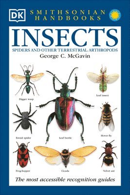 bokomslag Handbooks: Insects