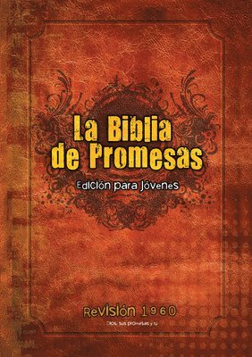 bokomslag Santa Biblia de Promesas Reina Valera 1960 / Edición de Jóvenes / Tapa Dura // Spanish Promise Bible Rvr 1960 / Youth Edition / Hardback