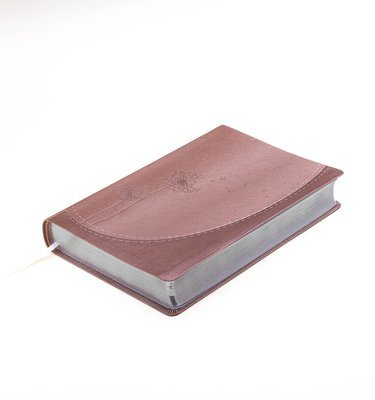 Editorial Unilit - Biblia Para Mujeres Reina Valera 1960 - de Promesas Inspira Letra Gigante (13 Pts) Piel Especial Rosa Dorado Spanish Promise Bible, Inbunden