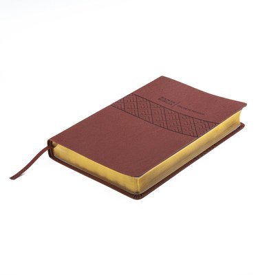Biblia de Promesas Reina Valera 1960 / Letra Gigante - 13 Puntos / Piel Especial / Café // Spanish Promise Bible Rvr60 / Giant Print - 13 Points / Leathersoft / Brown 1
