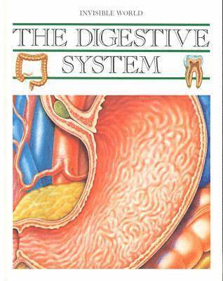 bokomslag The Digestive System