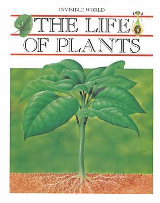 Angels Julivert - Life of Plants, Inbunden