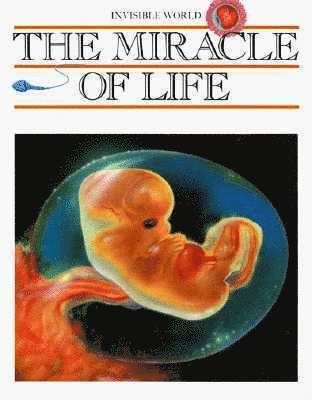 bokomslag The Miracle of Life