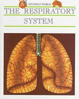 bokomslag The Respiratory System